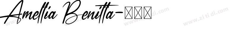 Amellia Benitta字体转换
